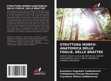 STRUTTURA MORFO-ANATOMICA DELLE FOGLIE, DELLE BRATTEE kitap kapağı