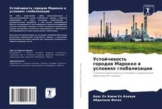 Bookcover of Устойчивость городов Марокко в условиях глобализации