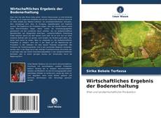 Buchcover von Wirtschaftliches Ergebnis der Bodenerhaltung