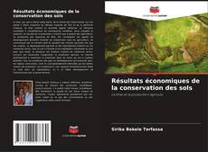 Borítókép a  Résultats économiques de la conservation des sols - hoz