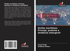 Обложка Diritto marittimo: Principi, pratiche e tendenze emergenti