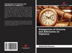 Borítókép a  Antagonism of Orexine and Adenosine on Vigilance - hoz