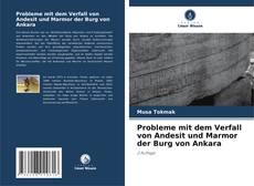 Buchcover von Probleme mit dem Verfall von Andesit und Marmor der Burg von Ankara