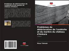 Copertina di Problèmes de détérioration de l'andésite et du marbre du château d'Ankara