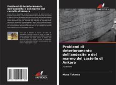 Copertina di Problemi di deterioramento dell'andesite e del marmo del castello di Ankara