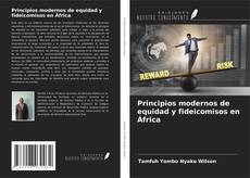 Portada del libro de Principios modernos de equidad y fideicomisos en África