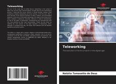 Borítókép a  Teleworking - hoz