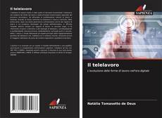 Обложка Il telelavoro