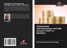 Valutazione dell'attuazione dell'ABC presso il GIPF in Namibia kitap kapağı