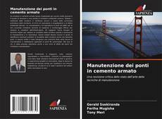 Manutenzione dei ponti in cemento armato kitap kapağı