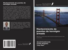 Portada del libro de Mantenimiento de puentes de hormigón armado