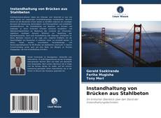 Portada del libro de Instandhaltung von Brücken aus Stahlbeton