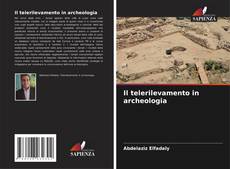 Обложка Il telerilevamento in archeologia