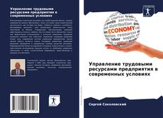 Bookcover of Управление трудовыми ресурсами предприятия в современных условиях