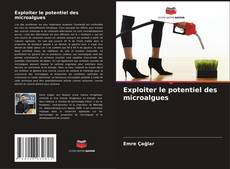 Copertina di Exploiter le potentiel des microalgues