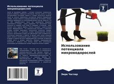 Bookcover of Использование потенциала микроводорослей