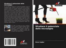 Sfruttare il potenziale delle microalghe kitap kapağı