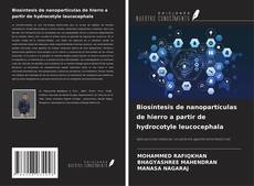 Copertina di Biosíntesis de nanopartículas de hierro a partir de hydrocotyle leucocephala