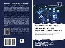 БИОСИНТЕЗ НАНОЧАСТИЦ ЖЕЛЕЗА ИЗ ЛИСТЬЕВ HYDROCOTYLE LEUCOCEPHALA的封面