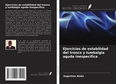 Portada del libro de Ejercicios de estabilidad del tronco y lumbalgia aguda inespecífica