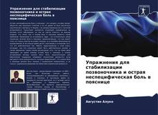 Упражнения для стабилизации позвоночника и острая неспецифическая боль в пояснице的封面