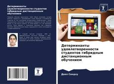 Детерминанты удовлетворенности студентов гибридным дистанционным обучением的封面