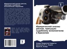 Юридический анализ рисков, присущих судебному исполнителю в Бразилии的封面