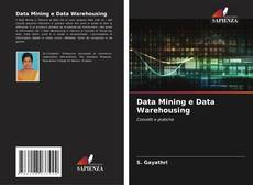 Data Mining e Data Warehousing kitap kapağı