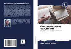 Bookcover of Мультикультурное гражданство