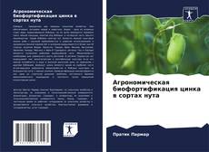 Агрономическая биофортификация цинка в сортах нута的封面