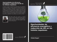 Portada del libro de Oportunidades de eficiencia energética y reducción de GEI en los hoteles nepaleses