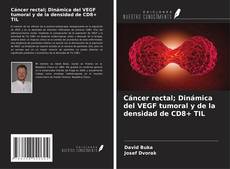 Portada del libro de Cáncer rectal; Dinámica del VEGF tumoral y de la densidad de CD8+ TIL