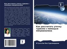 Bookcover of Как рассчитать утечку туризма с помощью микроанализа