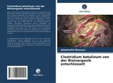 Portada del libro de Clostridium botulinum von der Bioinorganik entschlüsselt