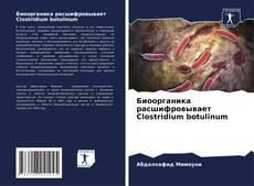 Couverture de Биоорганика расшифровывает Clostridium botulinum
