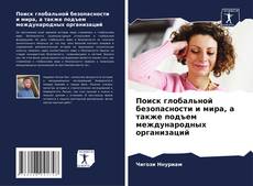 Поиск глобальной безопасности и мира, а также подъем международных организаций的封面