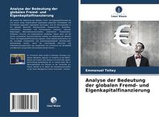 Portada del libro de Analyse der Bedeutung der globalen Fremd- und Eigenkapitalfinanzierung