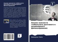 Анализ важности глобального долгового и акционерного финансирования kitap kapağı