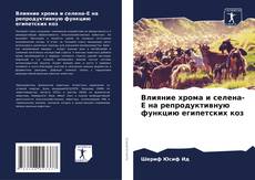 Влияние хрома и селена-Е на репродуктивную функцию египетских коз的封面