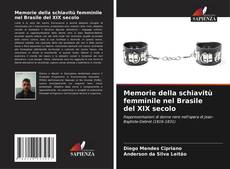 Memorie della schiavitù femminile nel Brasile del XIX secolo的封面