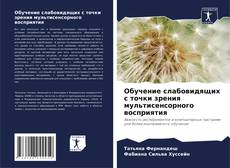 Обучение слабовидящих с точки зрения мультисенсорного восприятия的封面