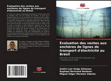 Évaluation des ventes aux enchères de lignes de transport d'électricité au Brésil kitap kapağı