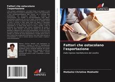 Fattori che ostacolano l'esportazione的封面