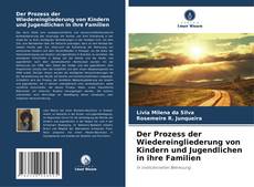 Обложка Der Prozess der Wiedereingliederung von Kindern und Jugendlichen in ihre Familien