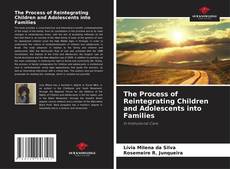 Borítókép a  The Process of Reintegrating Children and Adolescents into Families - hoz