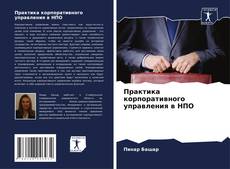 Практика корпоративного управления в НПО kitap kapağı