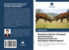 Copertina di Kaschmir-Hirsch (Hangul) und Kaschmir-Moschushirsch im Dachigam-Nationalpark