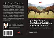 Buchcover von Cerf du Cachemire (Hangul) et cerf musqué du Cachemire dans le parc national de Dachigam