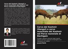 Cervo del Kashmir (Hangul) e cervo muschiato del Kashmir nel Parco nazionale di Dachigam kitap kapağı