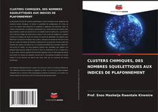 Bookcover of CLUSTERS CHIMIQUES, DES NOMBRES SQUELETTIQUES AUX INDICES DE PLAFONNEMENT